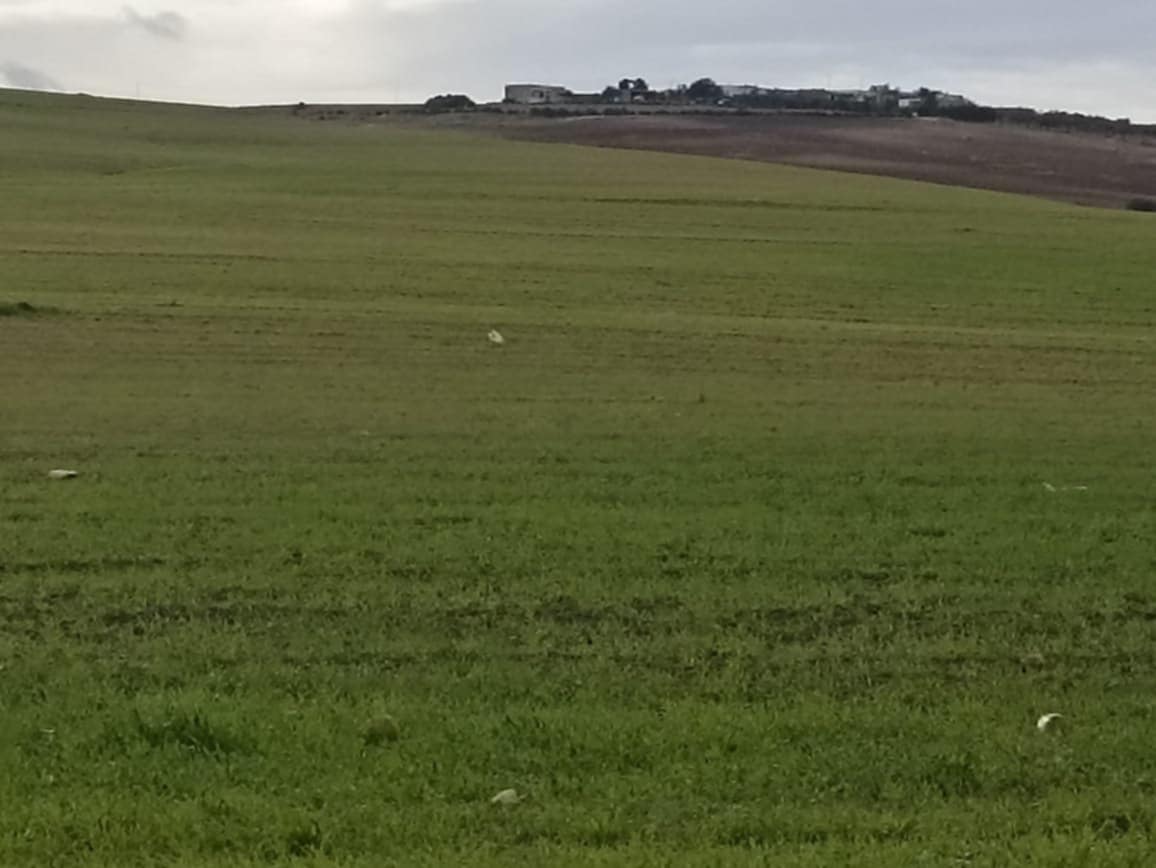 Bir Mcherga Boucha Terrain Terrain agricole 30 hectares  propices a tous les arbres fruitiers
