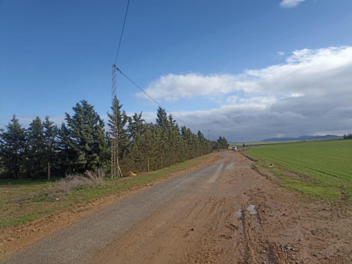 Bir Mcherga Boucha Terrain Terrain agricole 30 hectares  propices a tous les arbres fruitiers