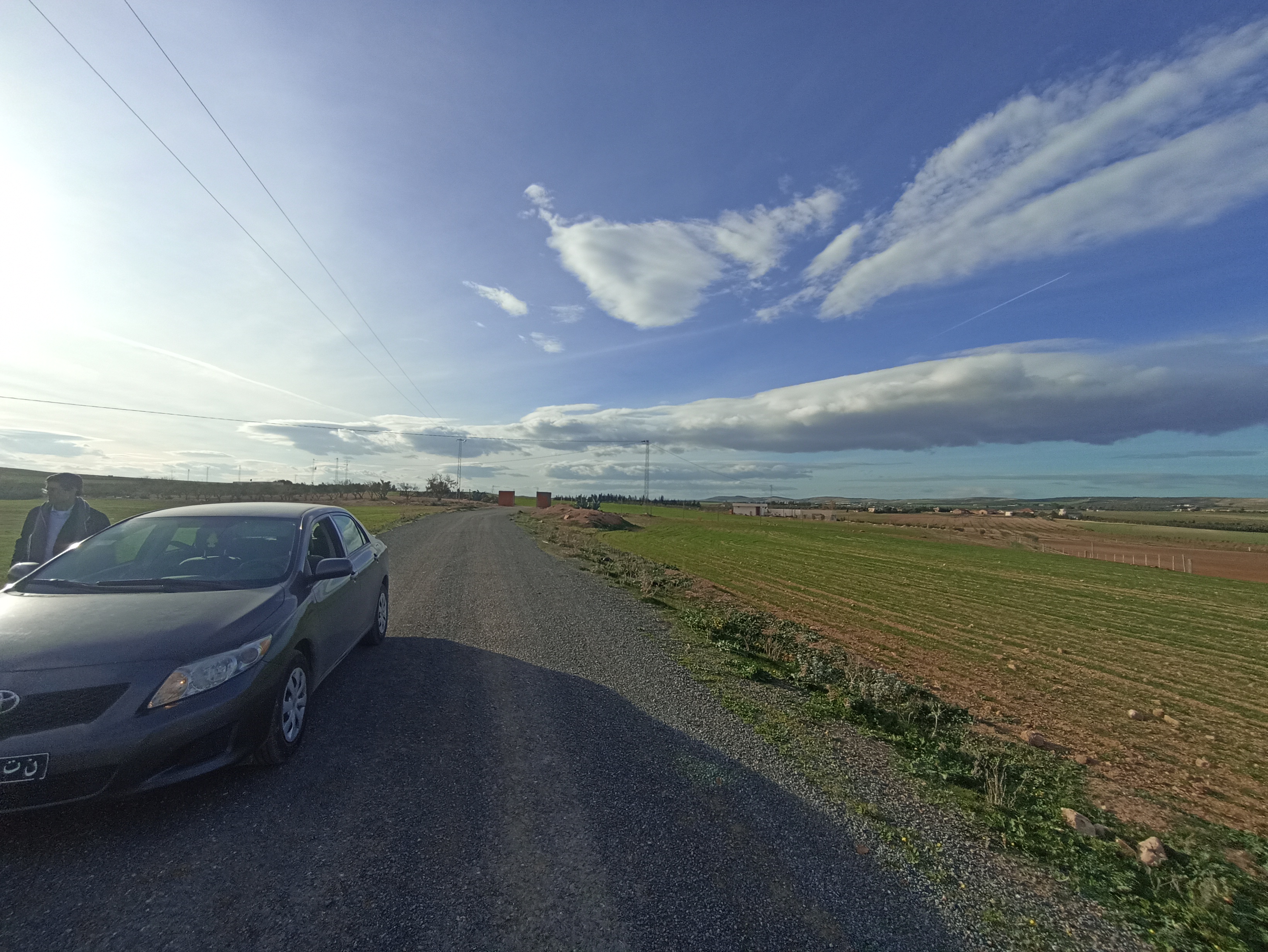 Bir Mcherga Bir Mcherga Terrain Terrain agricole 3 hectares sur une route goudronnee mnegaa