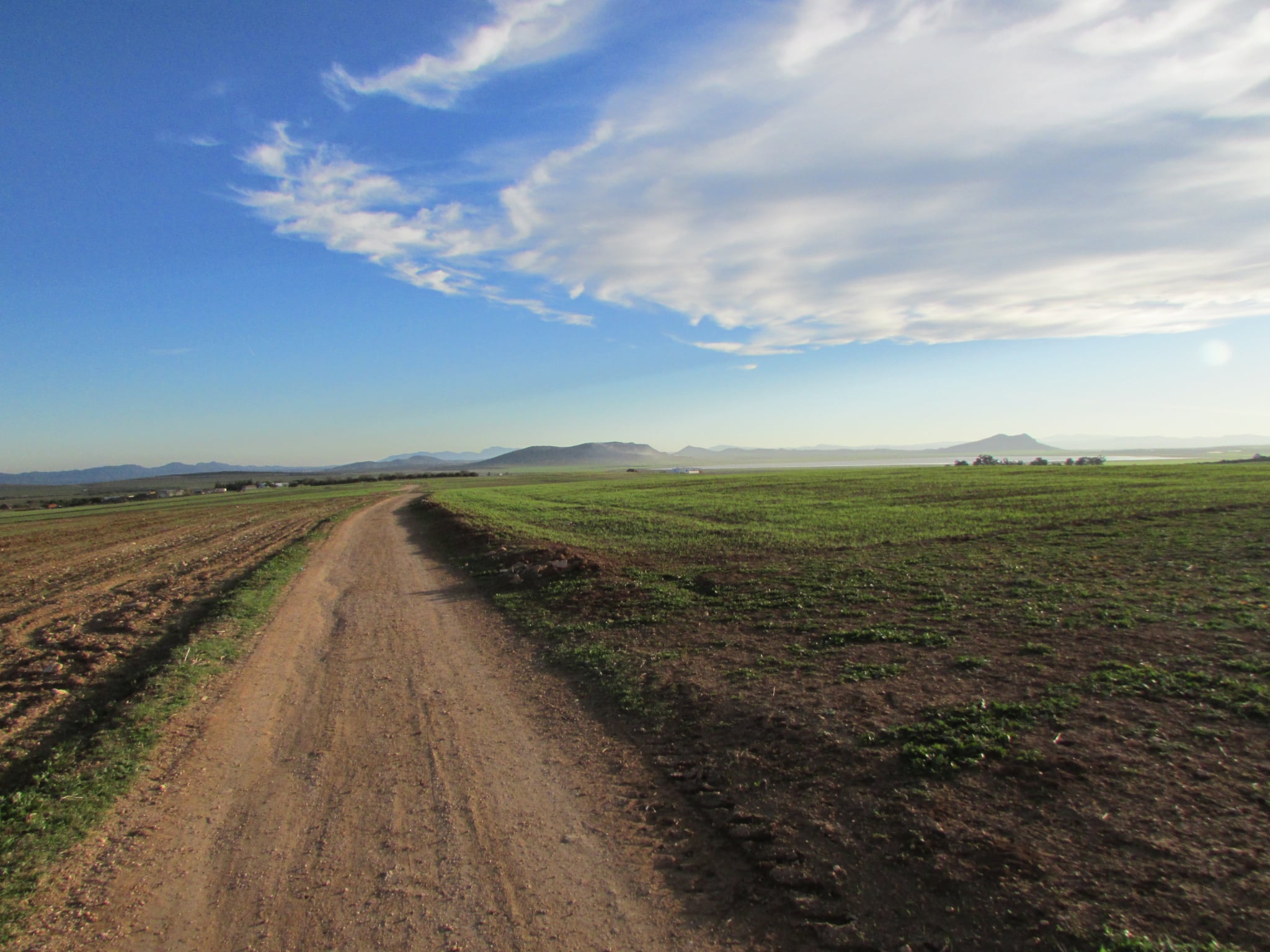 Bir Mcherga Boucha Terrain Terrain agricole 40 hectares  pour la plantation d'oliviers