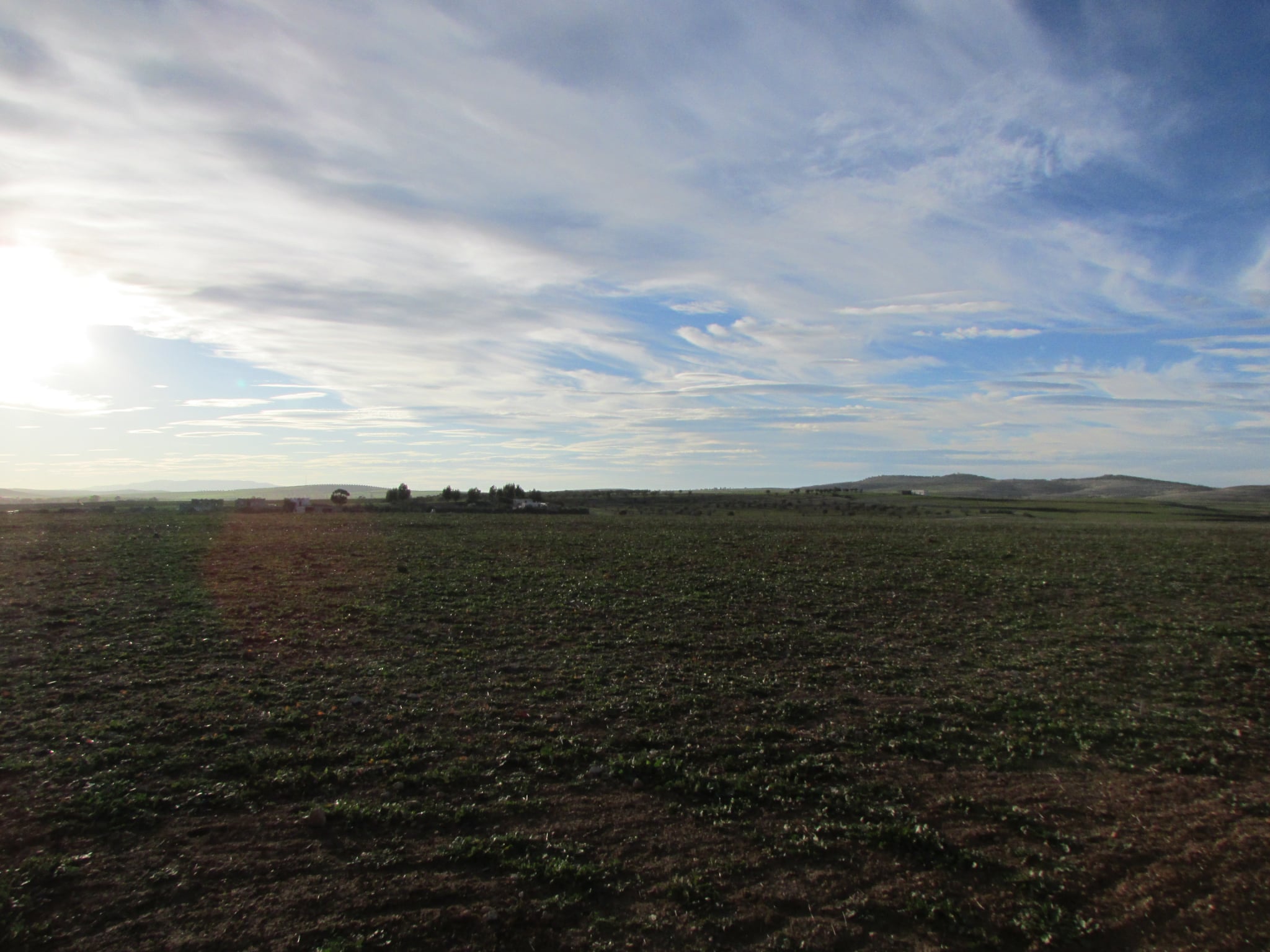 Bir Mcherga Boucha Terrain Terrain agricole 40 hectares  pour la plantation d'oliviers