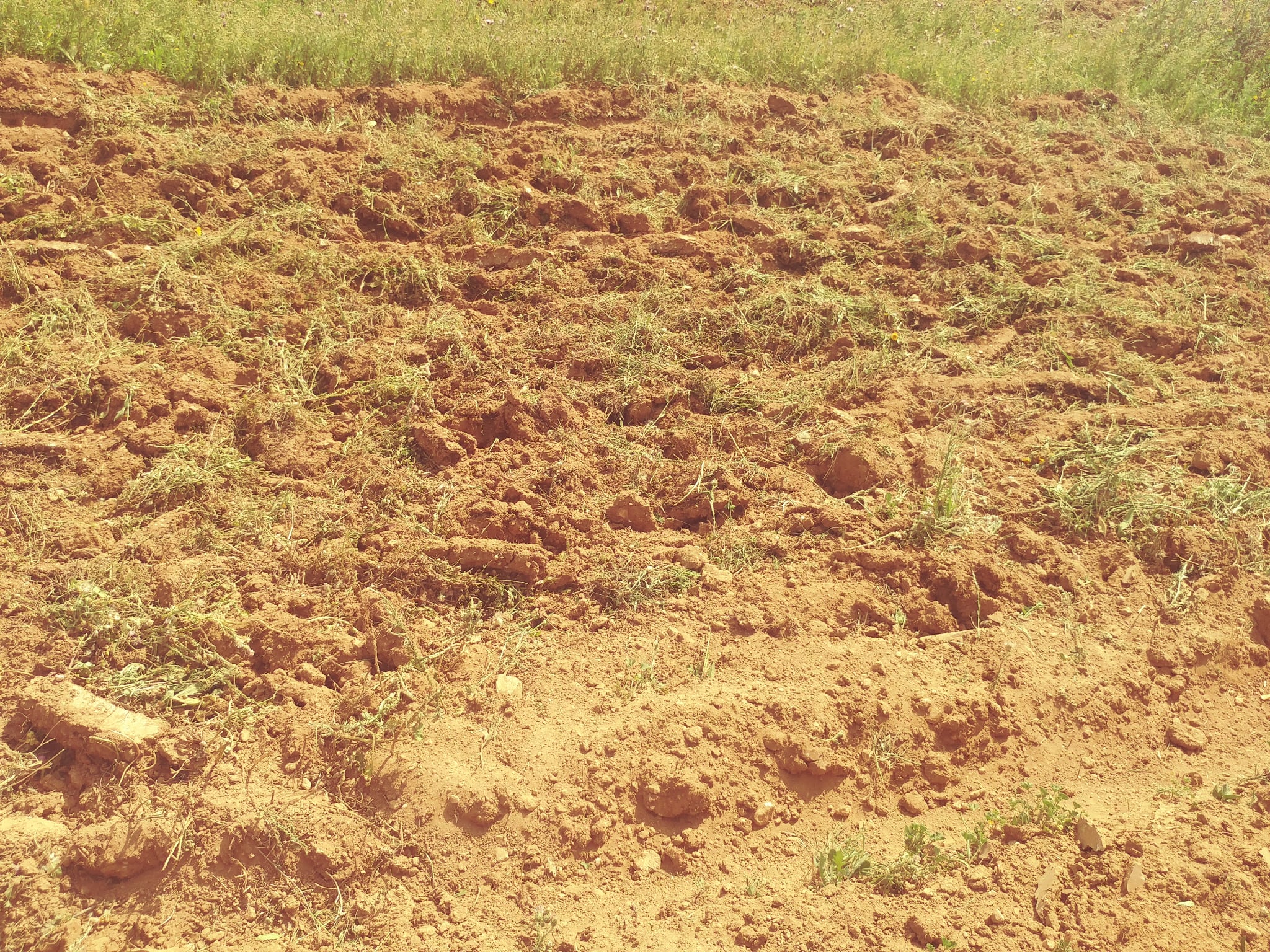 Bir Mcherga Boucha Terrain Terrain agricole 5 hectares terrain agricole nu