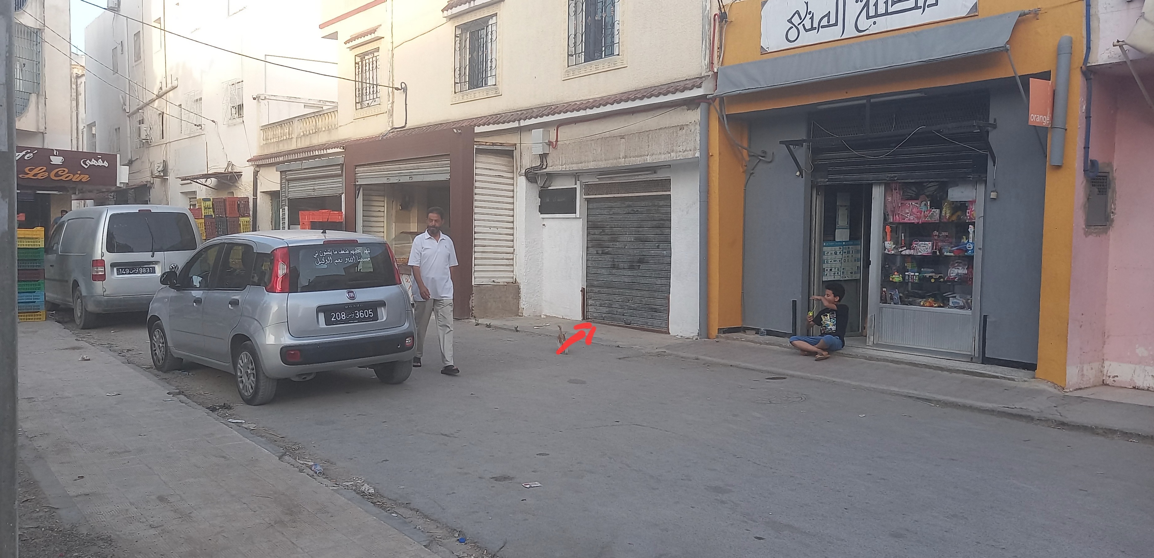 Le Bardo Ksar Said Location Surfaces Boutique commerciale