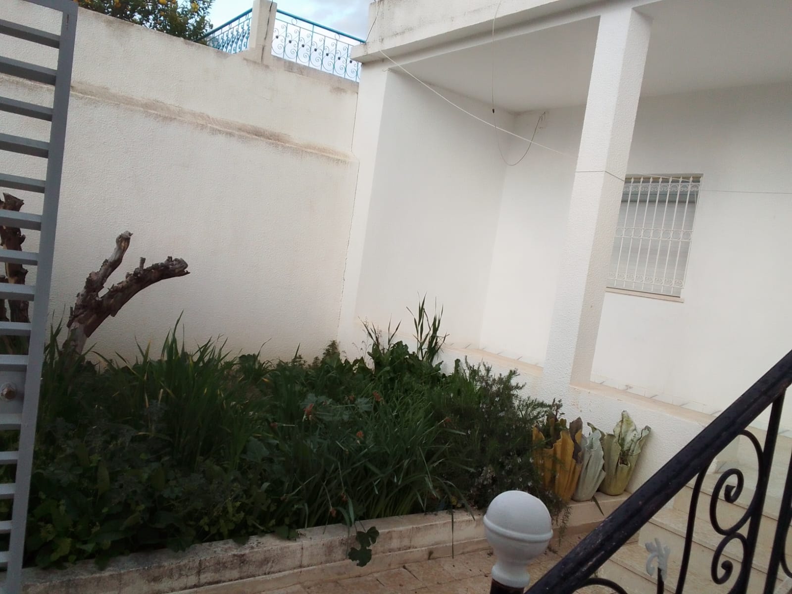 Le Kef Est Cite El Ouns Vente Maisons Maison s 3 jardin et terrase