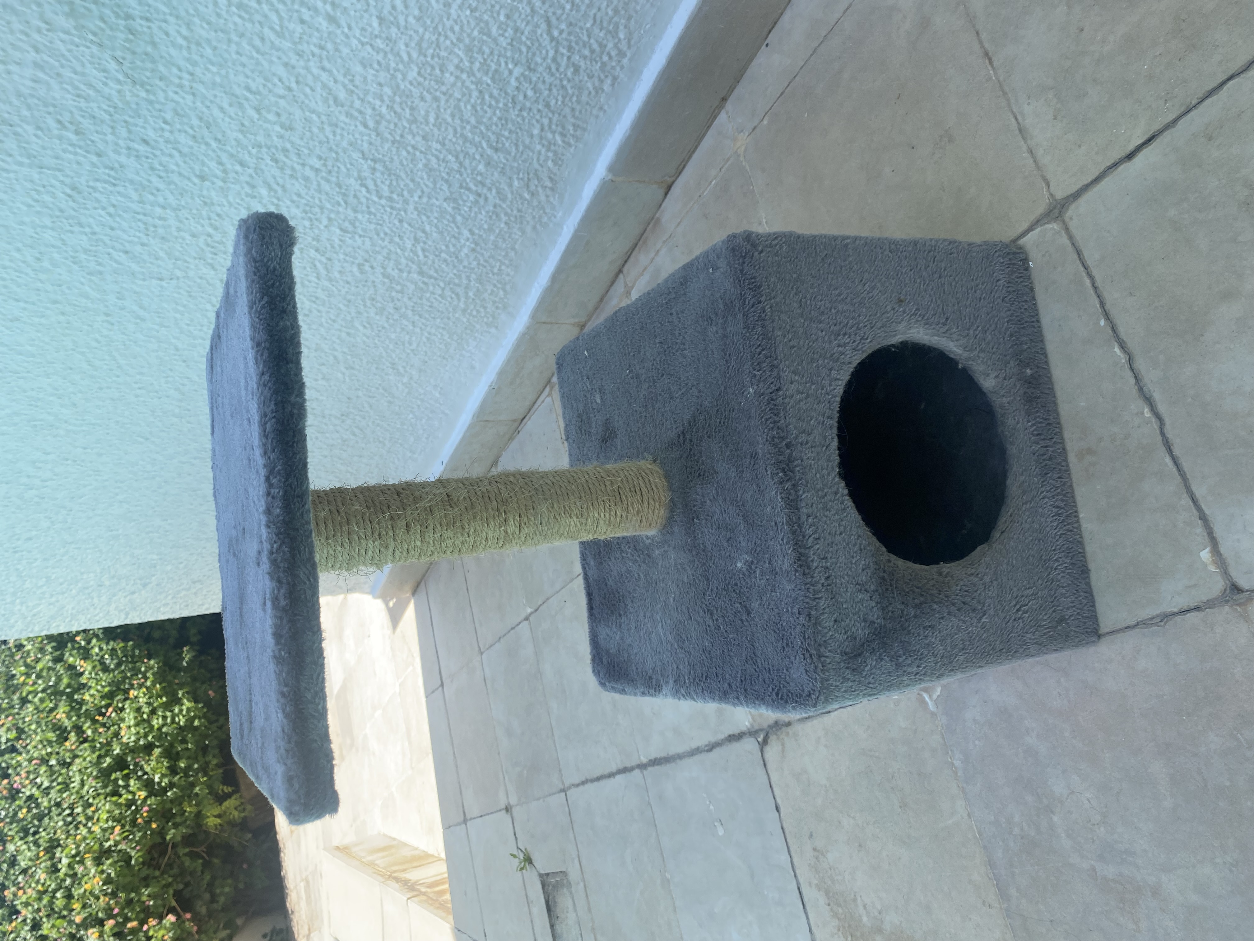 La Marsa Cite Du Stade Accessoires Autre Accessoires pour chat