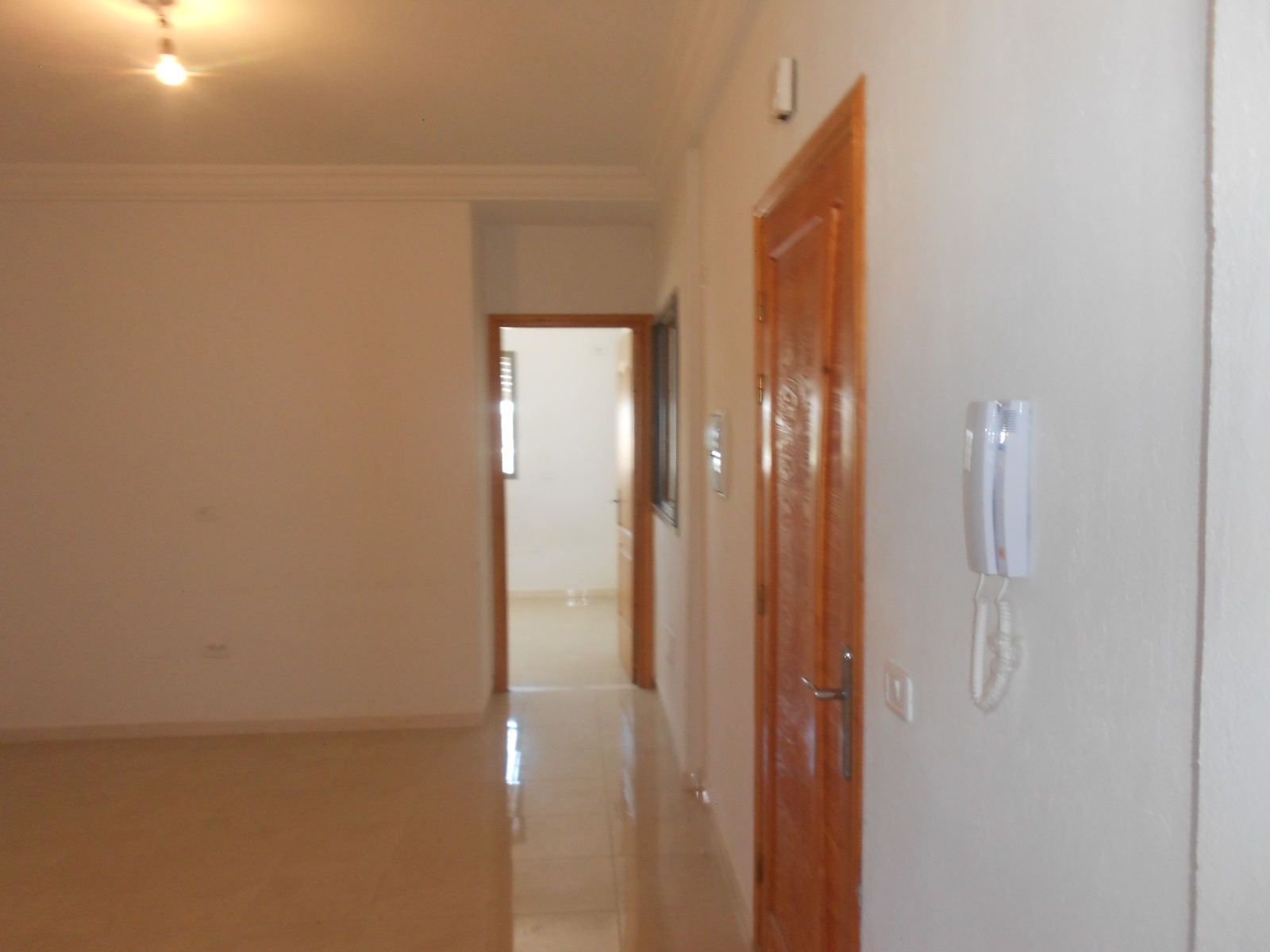 Cite El Khadra Cite El Khadra Location Appart. 2 pices Appartement cite el khadra