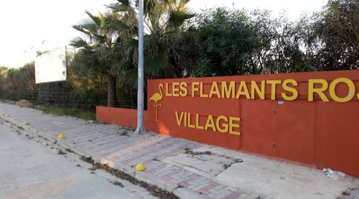 Raoued Raoued Terrain Terrain nu Terrain  flammants roses