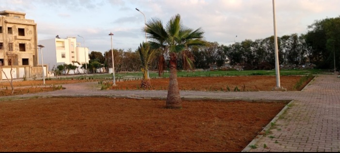 Raoued Raoued Terrain Terrain nu Terrain  flammants roses