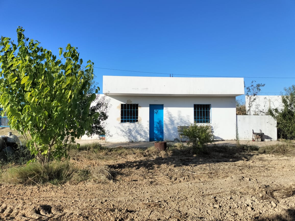 Kalaa El Kebira Kalaa El Kebira Terrain Terrain agricole Terrain fertile  kala kbira