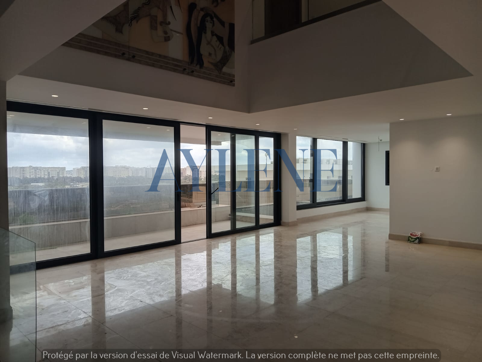 La Marsa Berge Du Lac Location Duplex Penthouse avec piscine au lac 2