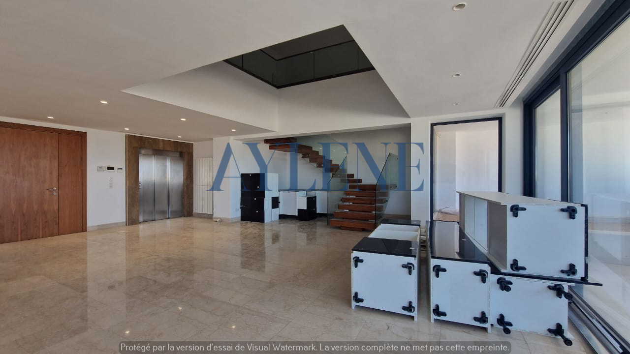 La Marsa Berge Du Lac Location Duplex Penthouse avec piscine au lac 2