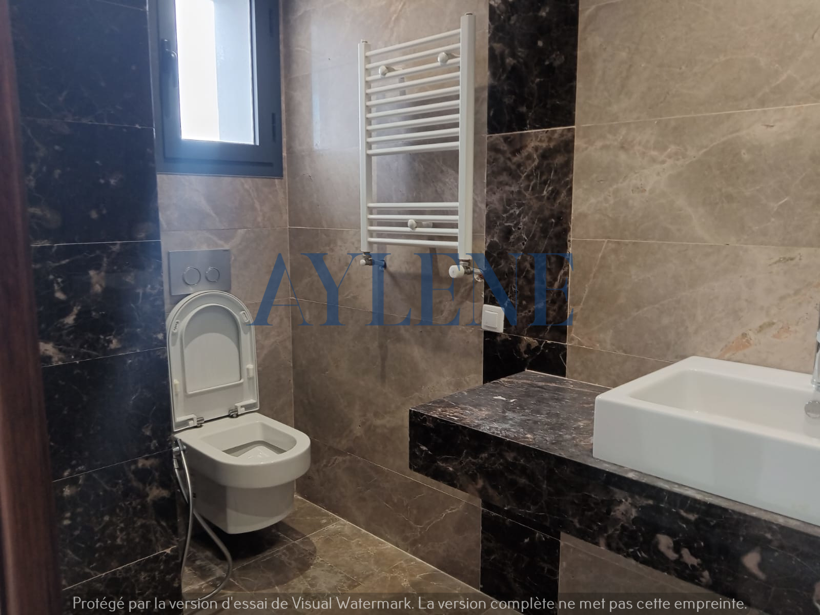La Marsa Berge Du Lac Location Duplex Penthouse avec piscine au lac 2