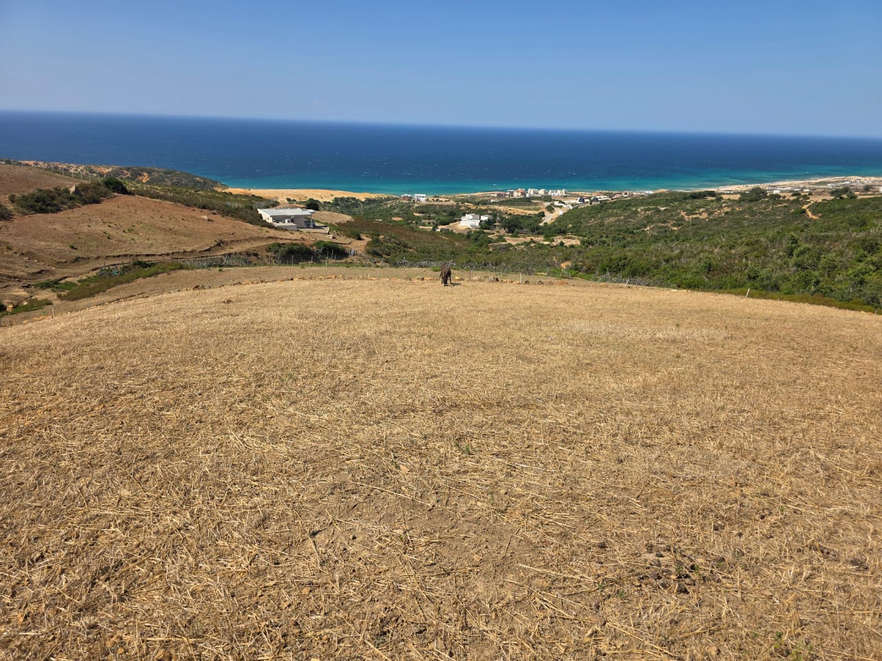Bizerte Nord Fejjet Errih Terrain Terrain nu Terrain nu  kef abed