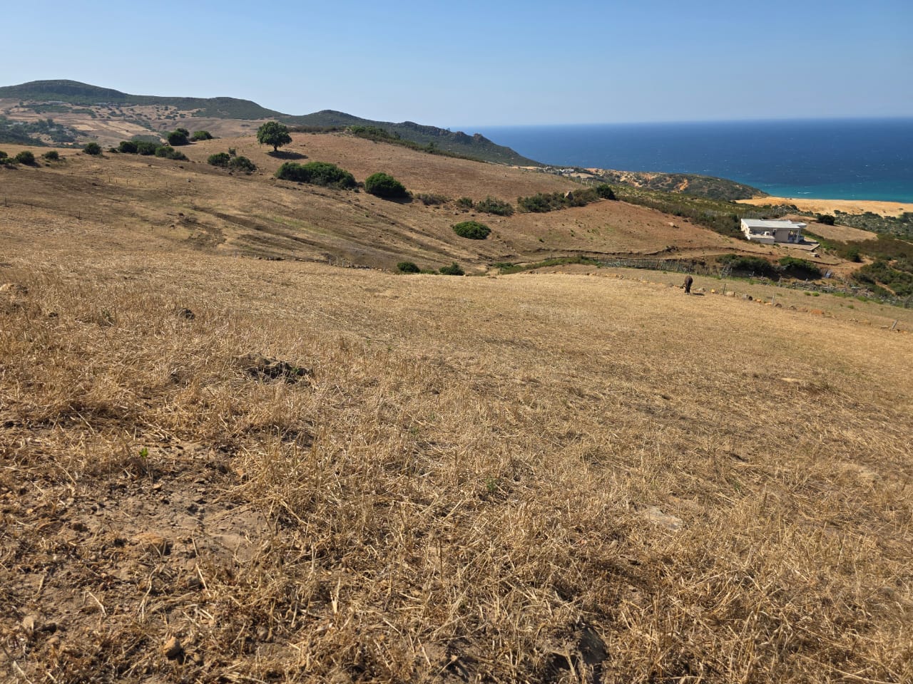 Bizerte Nord Fejjet Errih Terrain Terrain nu Terrain nu  kef abed
