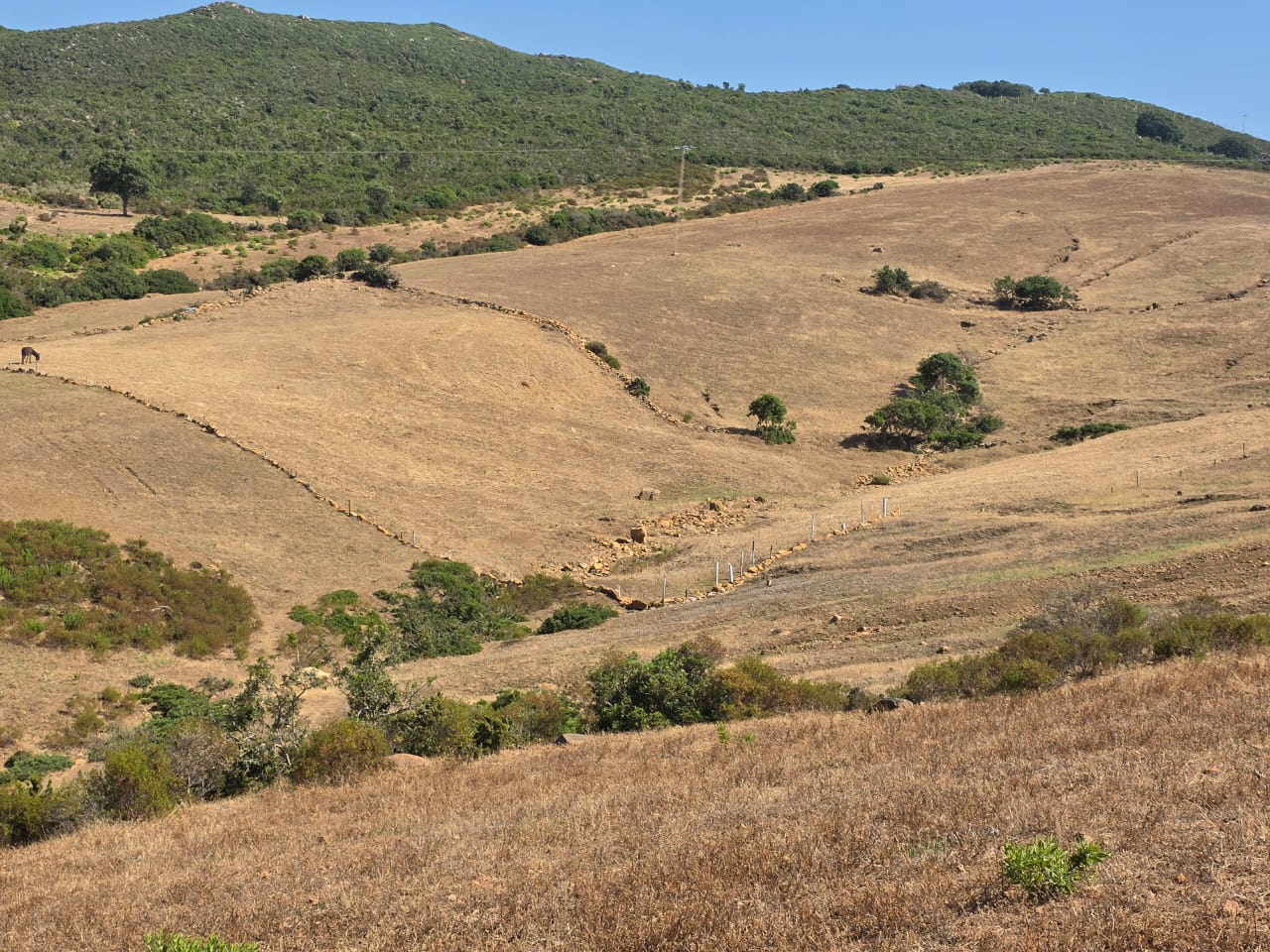 Bizerte Nord Fejjet Errih Terrain Terrain nu Terrain nu  kef abed