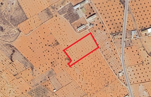 Sakiet Ezzit Merkez Chihya Terrain Terrain agricole Terrain  route de taniour km 17