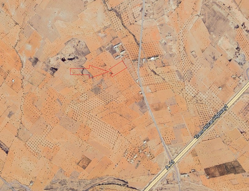 Sakiet Ezzit Merkez Chihya Terrain Terrain agricole Terrain  route de taniour km 17