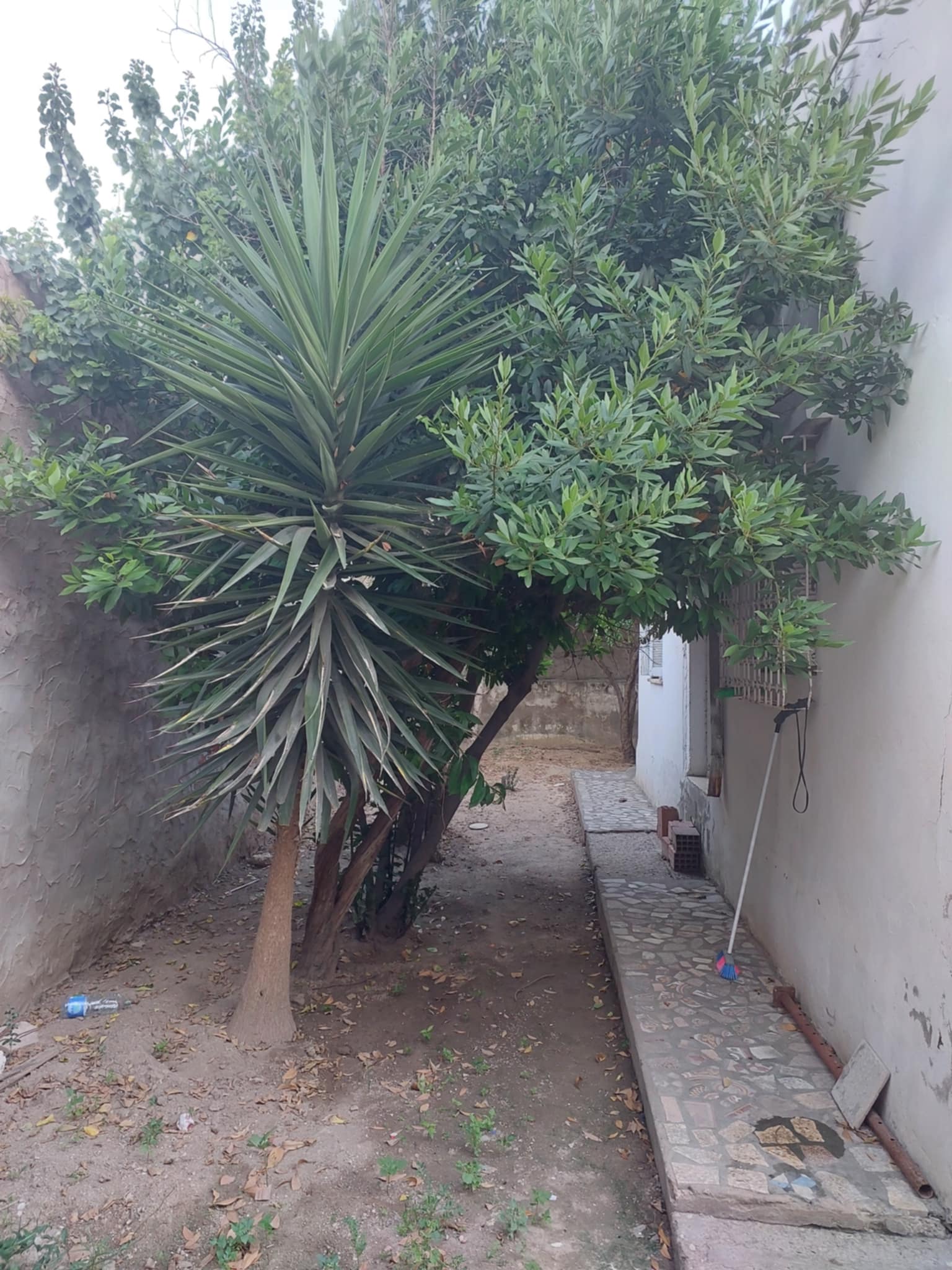 Mannouba Denden Vente Maisons Villa a ne pas rater