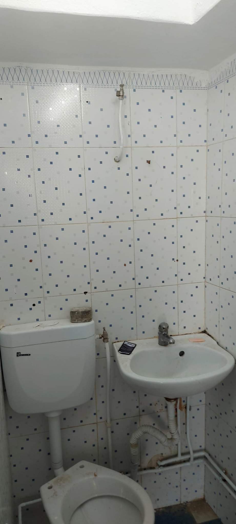 Bab Souika Bab El Akoues Location Maisons Maisonnette au coeur du centre ville  bab akoues