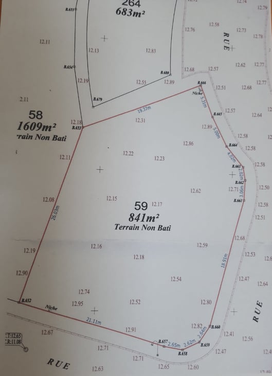 Fouchana Cite El Hidhab Terrain Terrain nu Terrain afh m'ghira