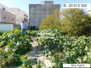 Hammam Chatt Borj Cedria Vente Surfaces A  terrain a borj cedria