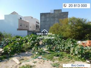 Hammam Chatt Borj Cedria Vente Surfaces A  terrain a borj cedria