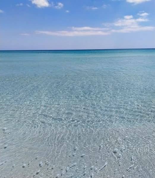 Kelibia Dar Allouche Terrain Terrain nu Terrain plage dar allouch kelibia