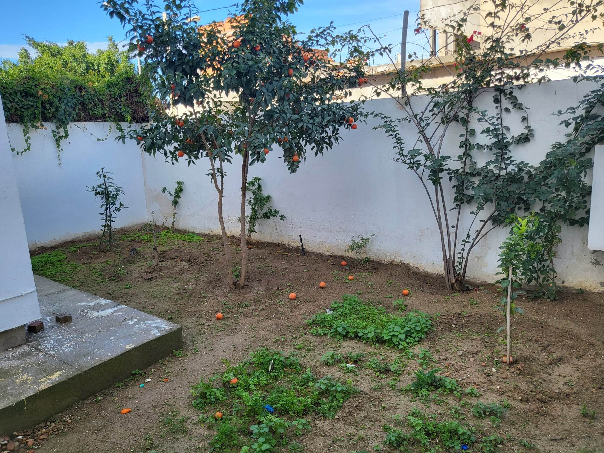 La Soukra Borj Louzir Location Appart. 2 pices App s2 avec jardin cit bahi ladgham