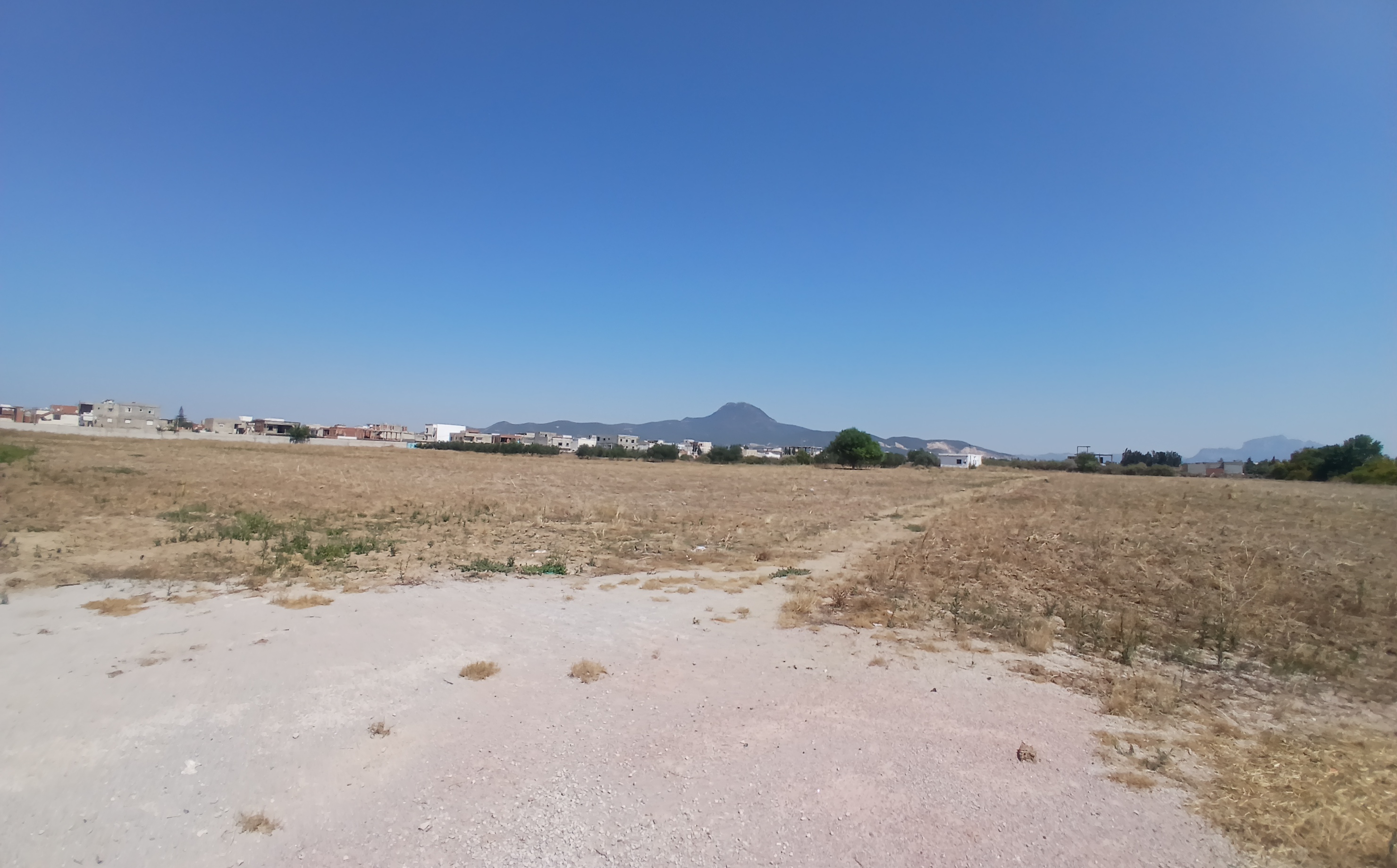 Bou Mhel El Bassatine Bou Mhel Terrain Terrain nu 5 hectares  boumhal