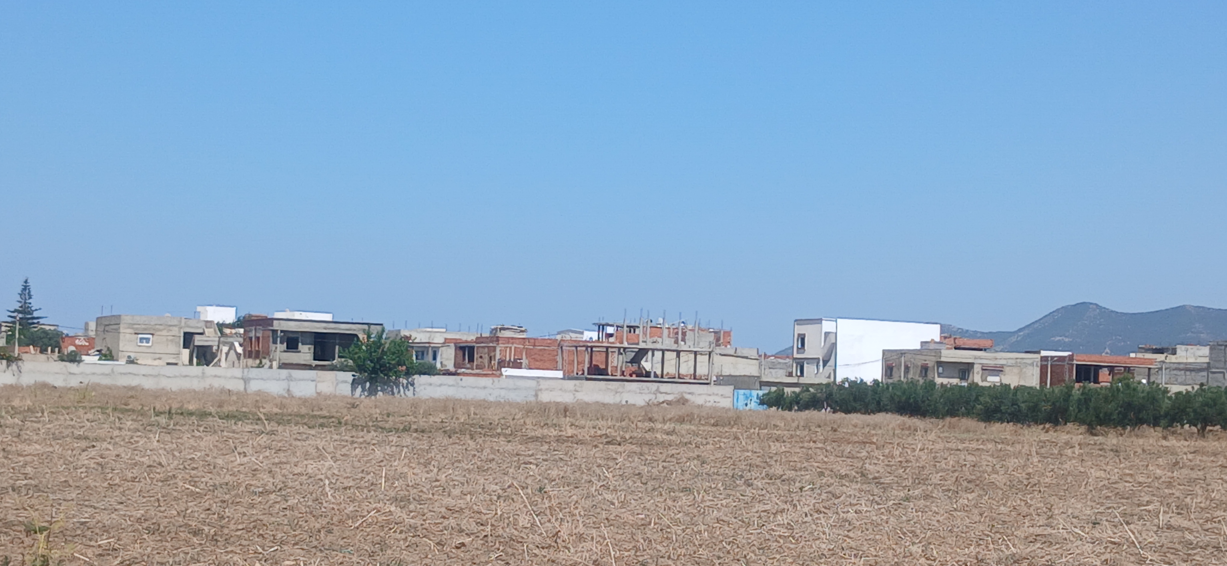 Bou Mhel El Bassatine Bou Mhel Terrain Terrain nu 5 hectares  boumhal