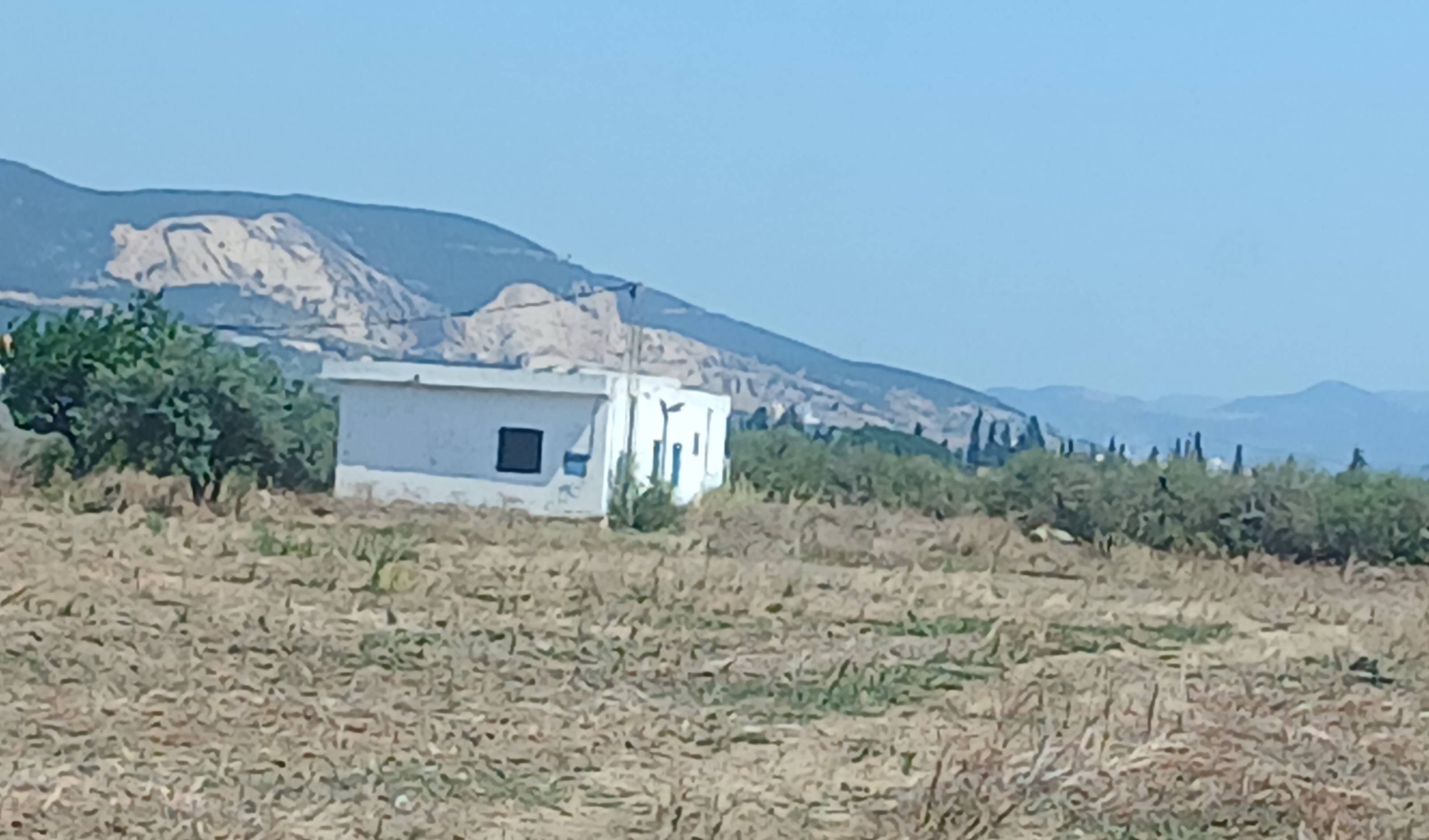 Bou Mhel El Bassatine Bou Mhel Terrain Terrain nu 5 hectares  boumhal