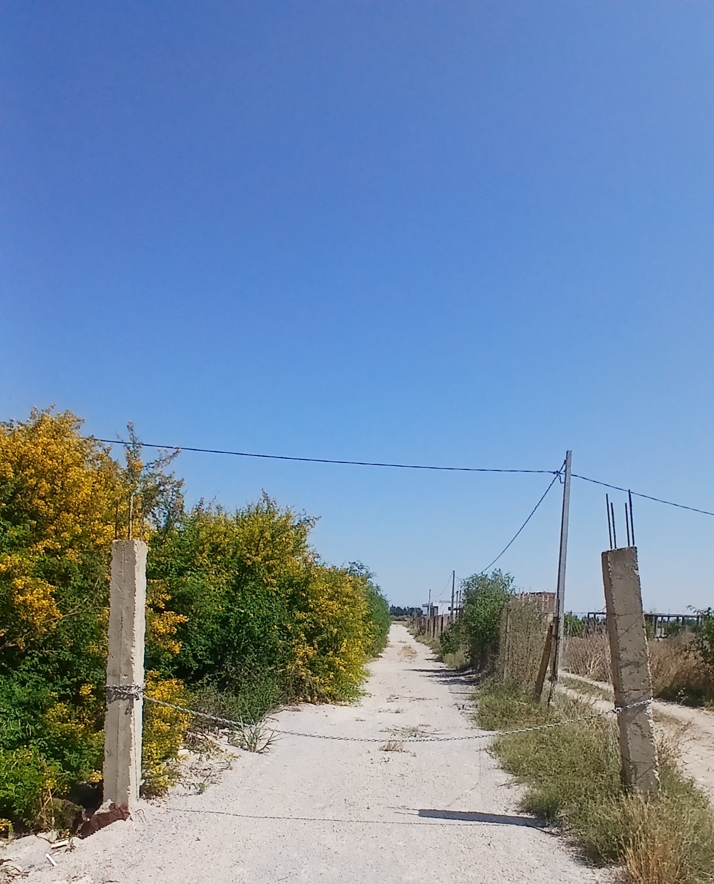 Bou Mhel El Bassatine Bou Mhel Terrain Terrain nu 5 hectares  boumhal