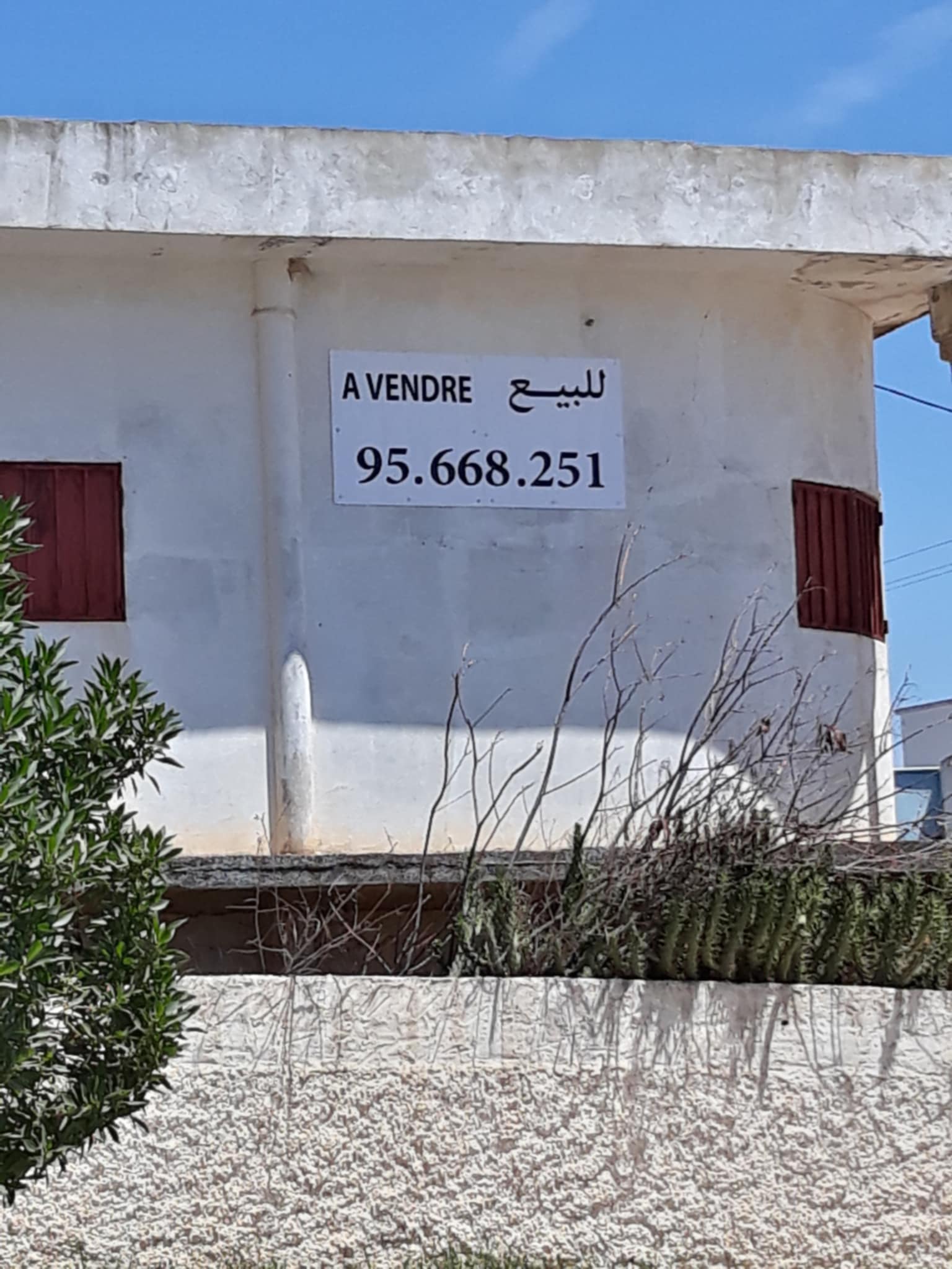 Thibar Cite Commerciale Vente Surfaces Locaux commerciaux  thibar