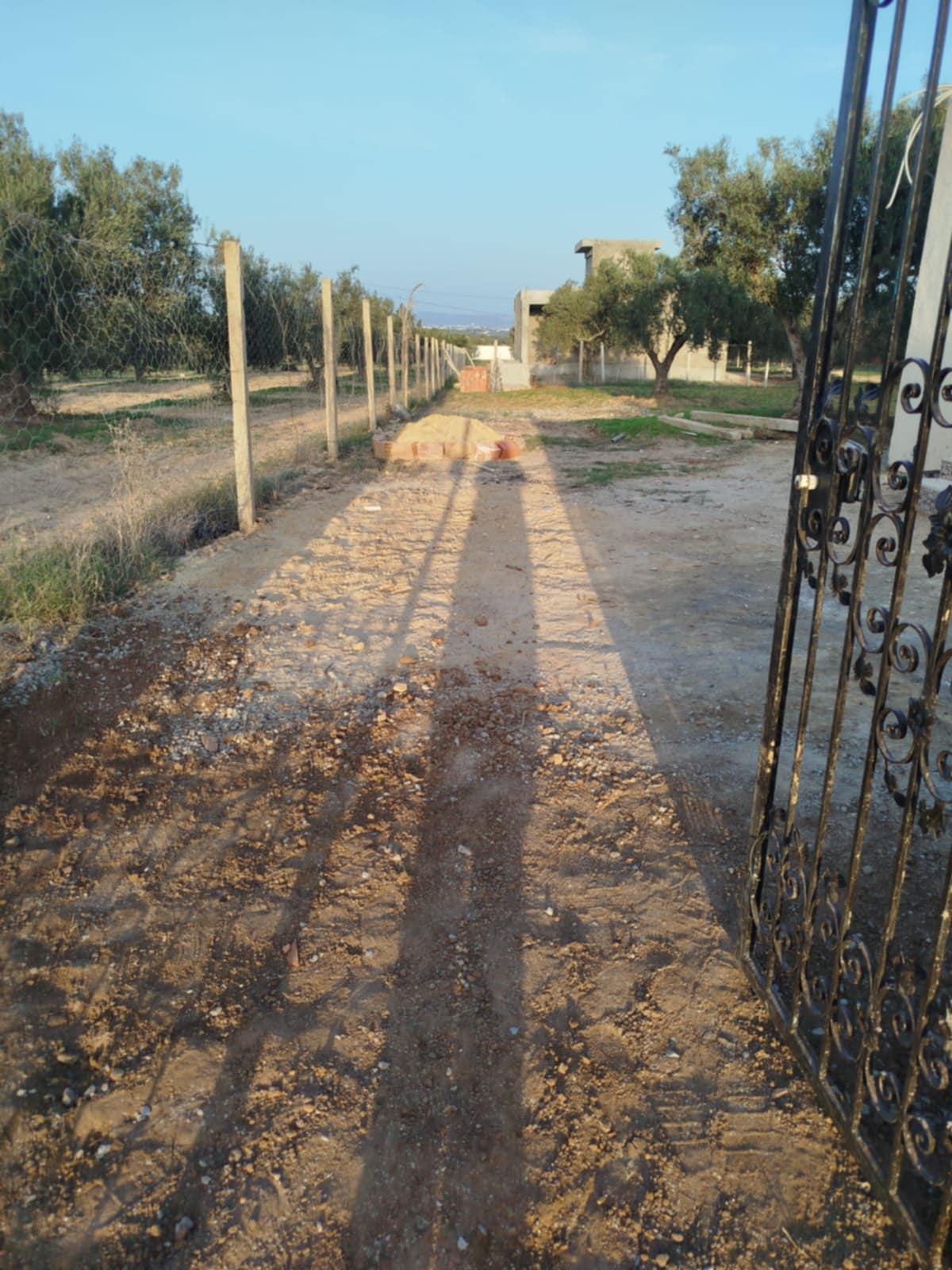 Hammamet Hammamet Terrain Terrain agricole Av terrain 1500mavec studio  hammamet sud