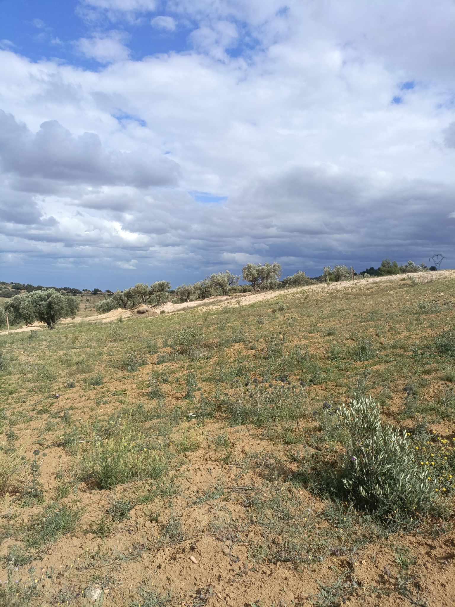 Hammam Zriba Bou Achir Terrain Terrain agricole Av terrain 4100m  zaghouan 99958728