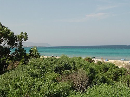 Hammam El Ghezaz Ezzahra Terrain Terrain nu Investir au cap bon dans un terrain magnifique
