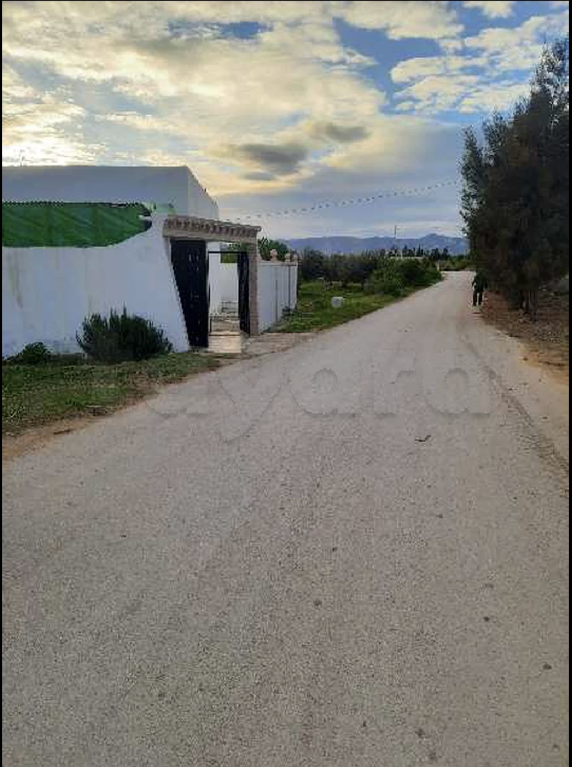Soliman Dhahri Terrain Terrain agricole Terrain 180dt m2