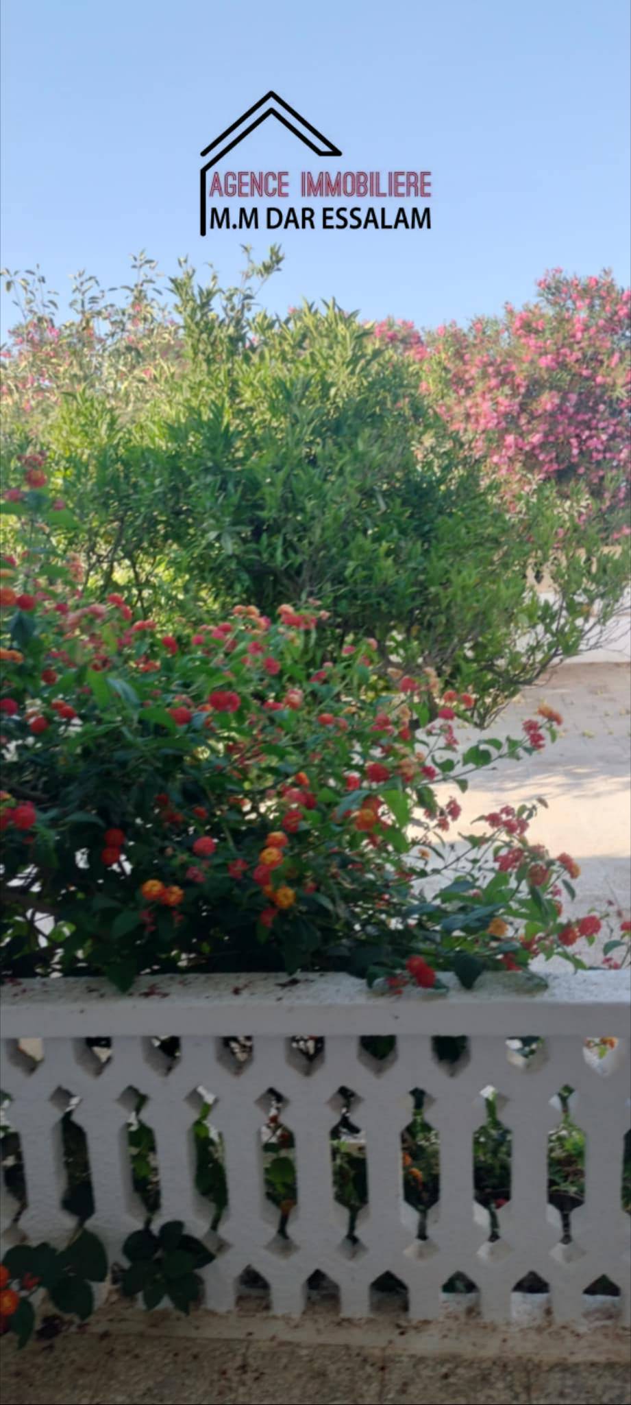 Kelibia Dar Allouche Terrain Terrain agricole Ferme  dar allouche