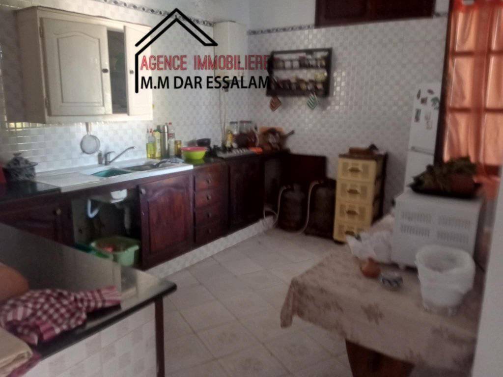 Kelibia Dar Allouche Terrain Terrain agricole Ferme  dar allouche