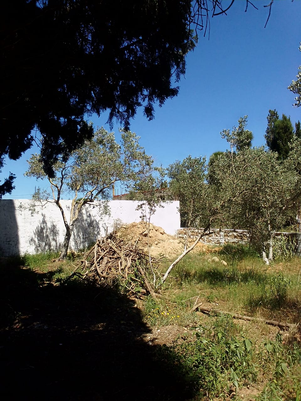 Ras Jebel Ras Jebel Vente Appart. 2 pices Maison s 2  terrain 308 m 2  700 de rue