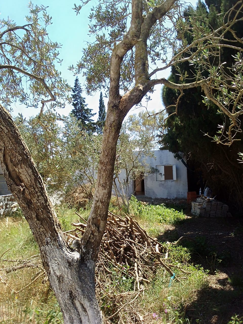Ras Jebel Ras Jebel Vente Appart. 2 pices Maison s 2  terrain 308 m 2  700 de rue