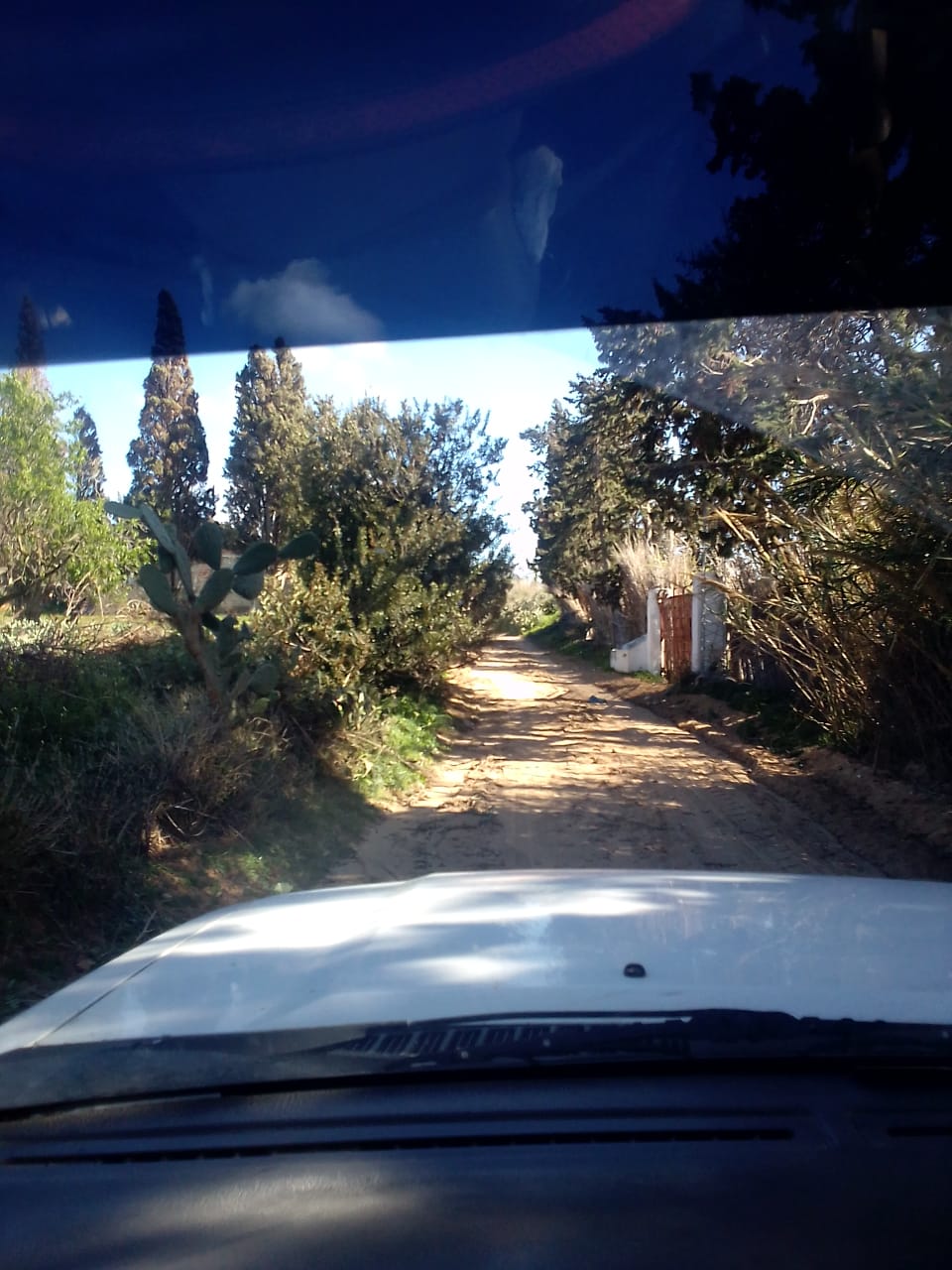 Ras Jebel Ras Jebel Vente Appart. 2 pices Maison s 2  terrain 308 m 2  700 de rue
