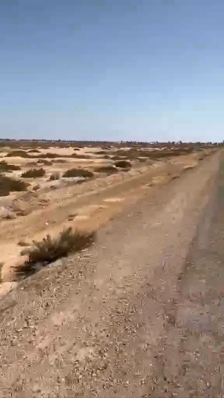 Djerba - Houmet Essouk Djerba Aeroport Terrain Terrain agricole Vue mer  djerba