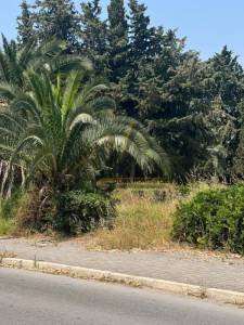 Carthage Salambo Vente Surfaces Terrain    carthage ref254a