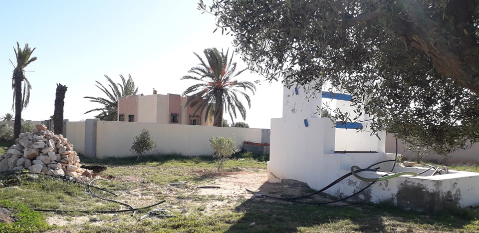Djerba - Midoun Aghir Terrain Terrain agricole Grand terrain vue sur mer   aghir djerba