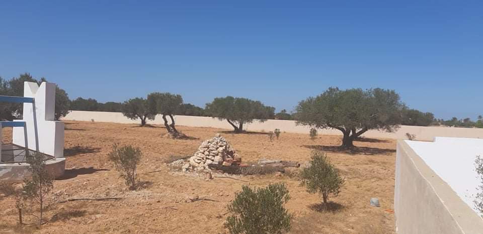 Djerba - Midoun Aghir Terrain Terrain agricole Grand terrain vue sur mer   aghir djerba