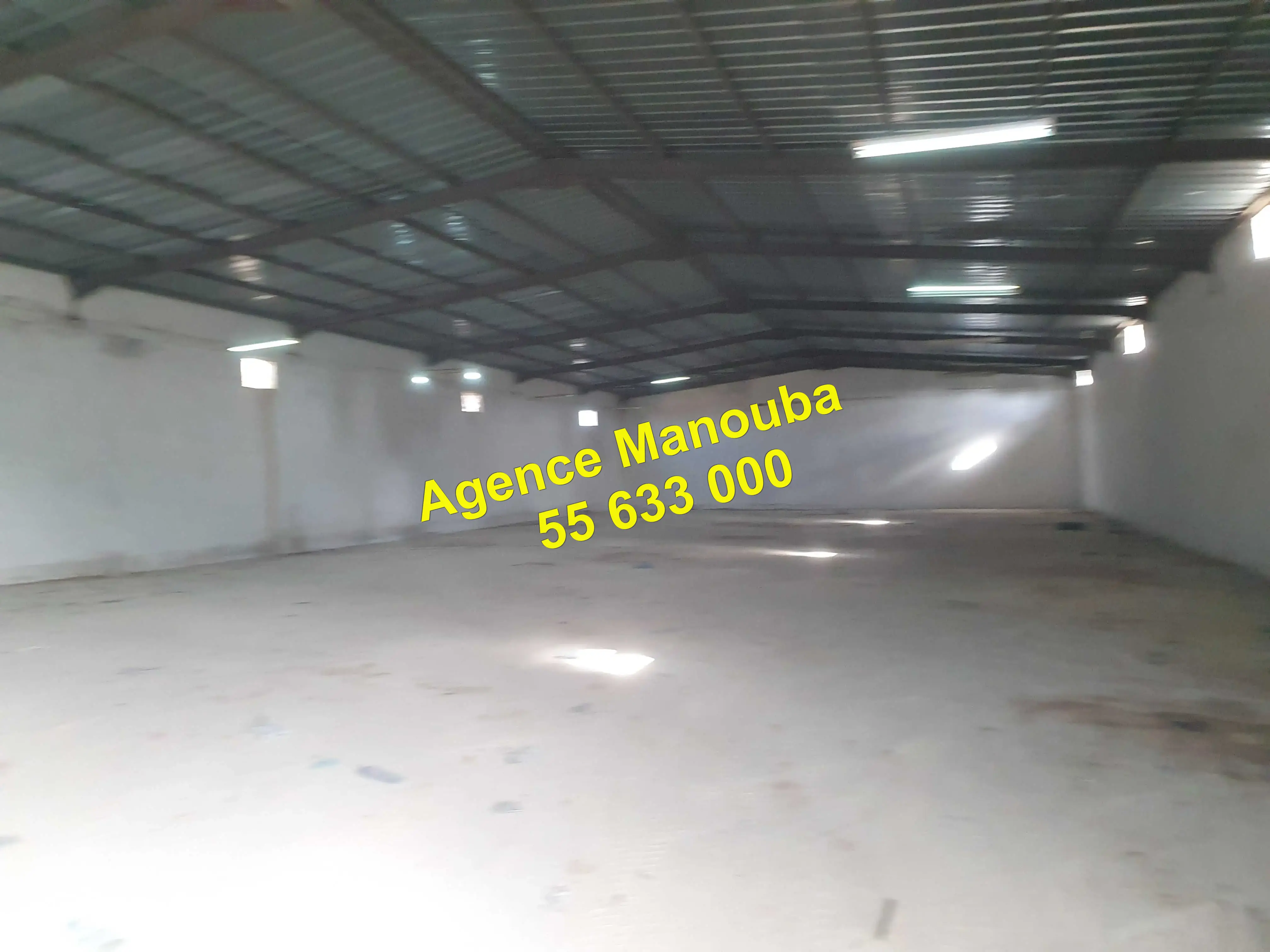 Mornaguia Mornaguia Location Surfaces Al depot 1000 m2 ref 8600