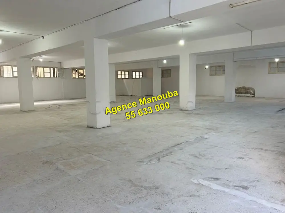 Mannouba La Mannouba Location Surfaces Al depot 700 m2