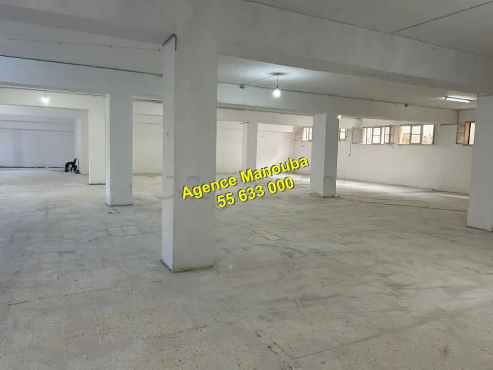 Mannouba La Mannouba Location Surfaces Al depot 700 m2