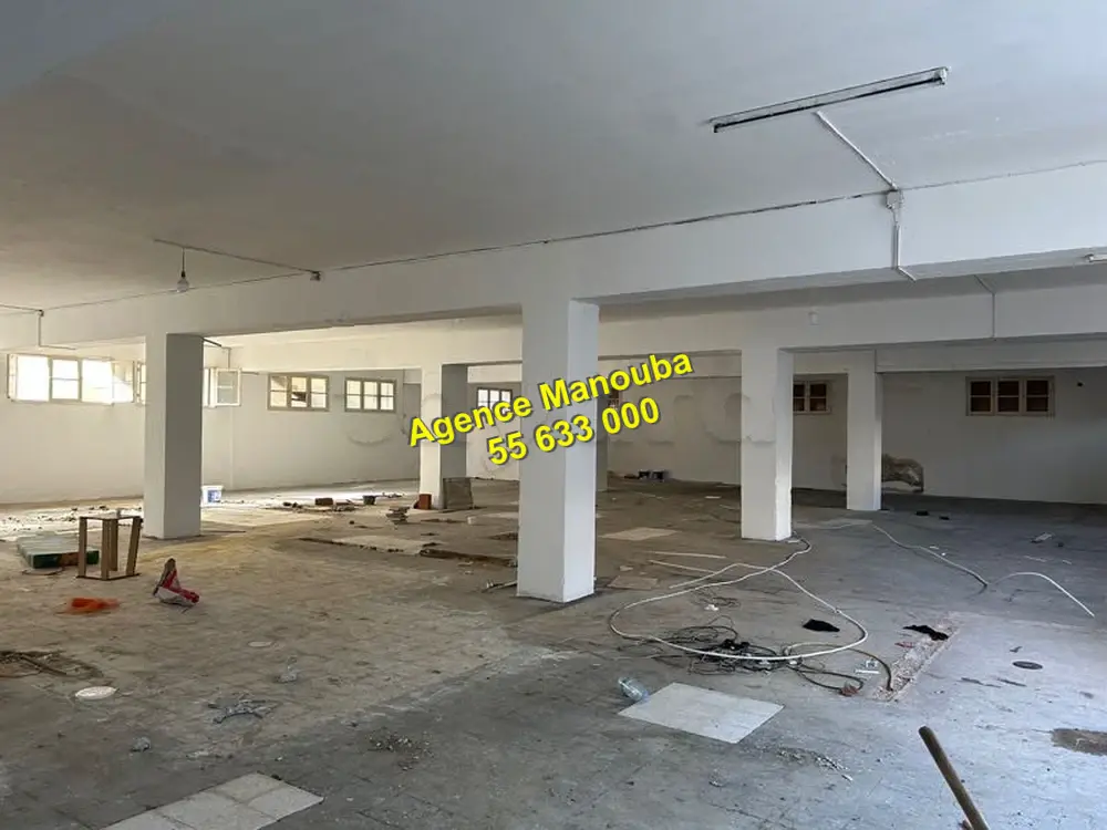 Mannouba La Mannouba Location Surfaces Al depot 700 m2